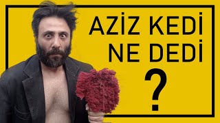 AŞIRI SOHBET - 1 - AZİZ KEDİ ile Büsbütün, Ayrıksı Bir Sohbet