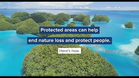 Protected areas can help end nature loss and protect people. Here