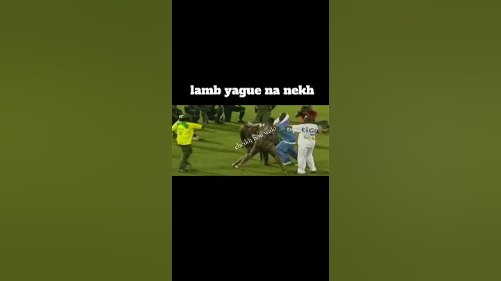 Yekini vs tapha gueye
