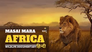African wildlife documentary in Hindi - Predators ।  मसाई मारा जंगल, अफ्रिका