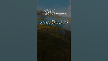تلاوه سعد الغامدي #اكسبلور #explore #قرآن #duet #تيك_توك #لايك #ترند #راحة_نفسية #تصويري #دويتو