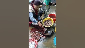 Cách lọc xương lươn