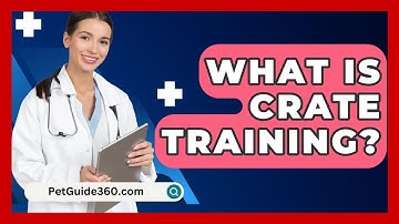 What Is Crate Training? - PetGuide360.com