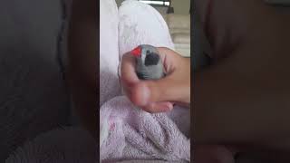 no cooper no swearing in this house