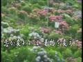 紫陽花しぐれ(オリジナル演歌)唄:福島のyan suzuki