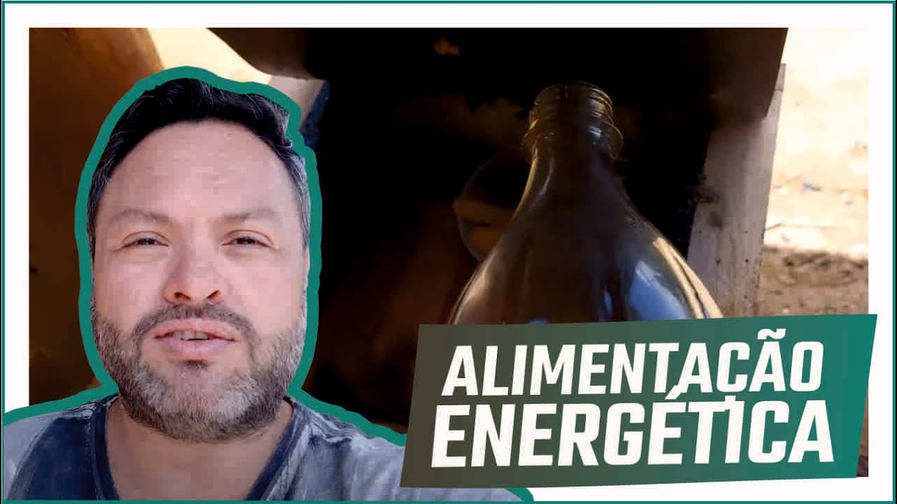 Por que e como fazer alimentação energética das abelhas uruçús (bugia, tiúba, nordestina etc)