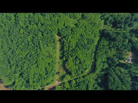 724 N Bodine Rd, Kelso, WA home video tour