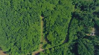 724 N Bodine Rd video tour