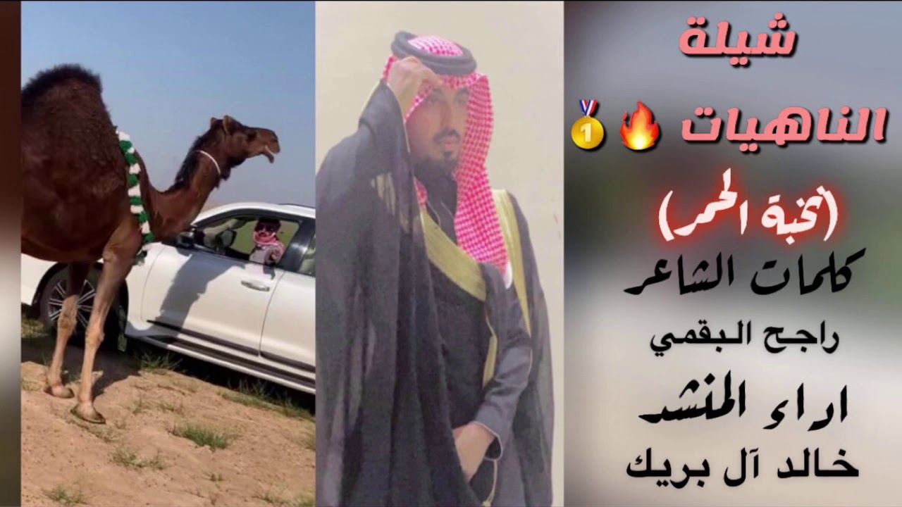 شيلة الناهيات - كلمات الشاعر - راجح البقمي - اداء المنشد : خالد ال بريك