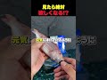 見たら絶対欲しくなる！？