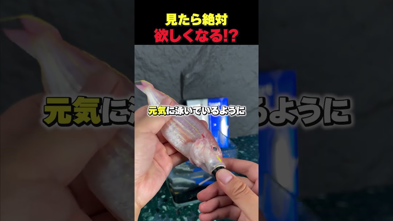 見たら絶対欲しくなる！？