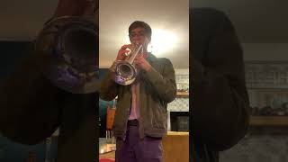 Day 9 Of Playing The Trumpet Until I Get Monetized