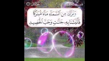 سورة ق الآية ( 9 )
