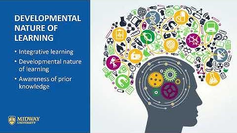 Lesson 5 Enacted Curriculum