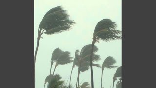 Wind