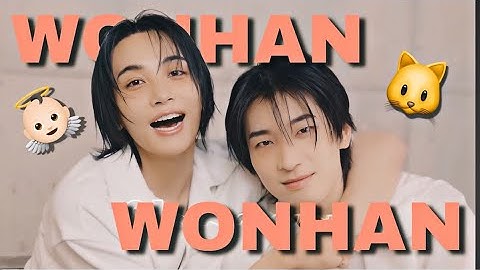 JEONGHAN & WONWOO and their ✨goofy✨ dynamic (svt moments) // yeontannie yt