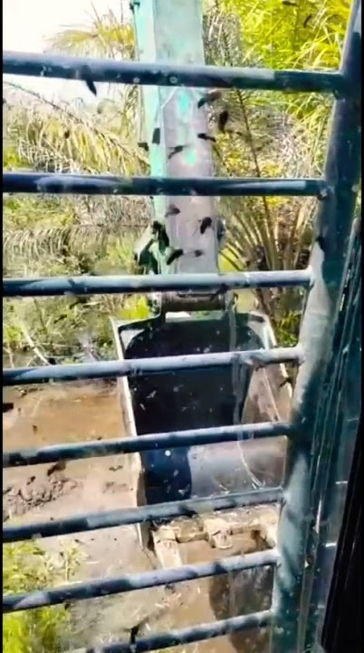 The Moment Thousands of Wasps Attacked the Operator~😱