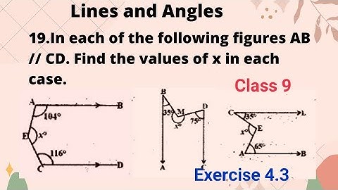 Lines and Angles Exercise 4.3 19/ Lines and Angles 9 th class/ Lines and Angles class 9