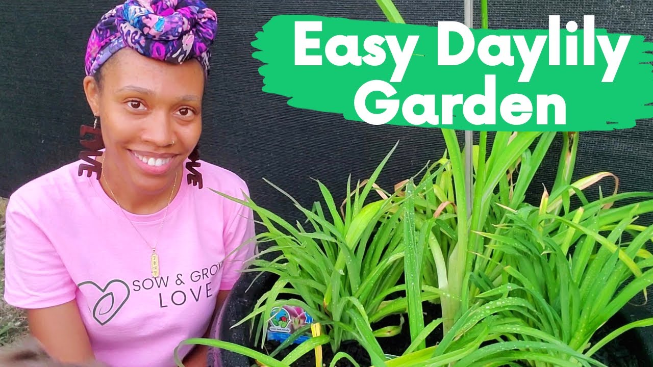 Creating A Daylily Garden | Container Gardening | Flower Garden Made