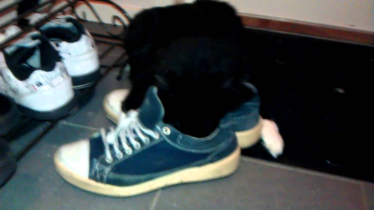 i love shoes! - YouTube
