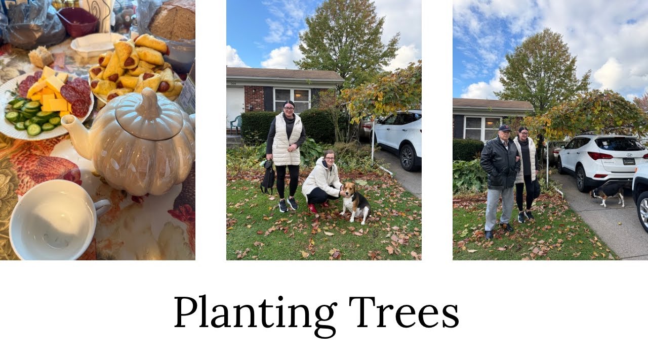 Planting Trees. Посадка деревьев. March 10th-October 24th 2025