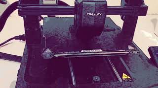 Lamborghini Logo - 3D Printing