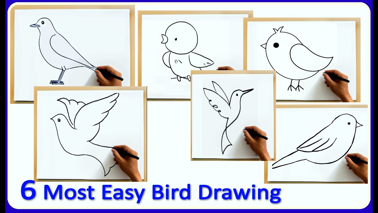 How To Draw A Simple Bird For Kids