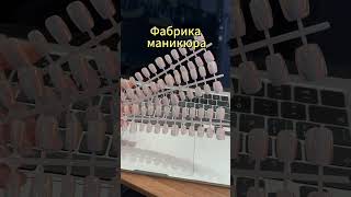 #Завод по производству индивидуальных искусственных ногтей #оптовая #доступныецены #внешняя торговля