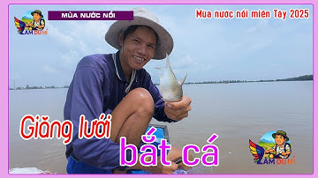 Giăng lưới được ít cá. Mua thêm cá lóc,cá linh về nướng chấm mắm me | Mùa nước nổi An Giang|#LamDuHi
