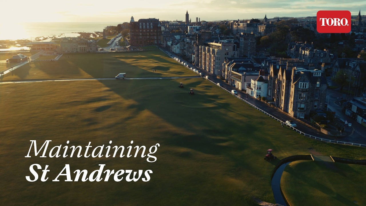 Maintaining St Andrews | All Grass Is Local