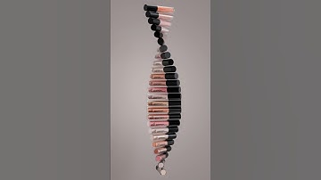 Elf Lip Gloss 3D Animation | Blender 4.2 #3d #3danimation #3dmotion #cosmetic