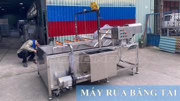 Máy rửa băng tải công nghiệp rửa rau củ, hoa quả, lá 200kg/giờ