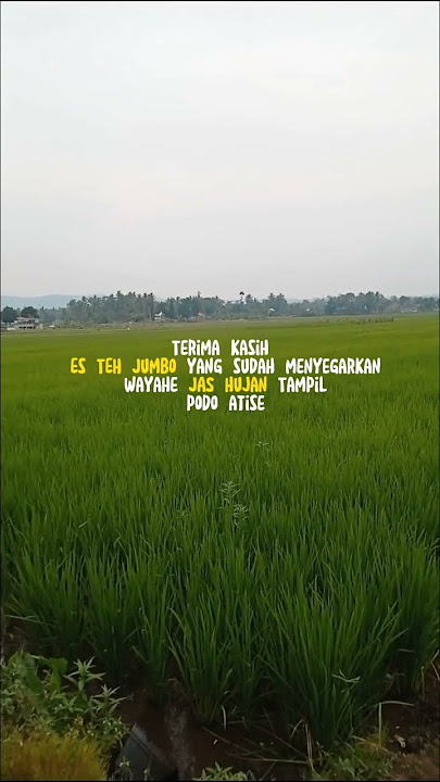 terima kasih es teh jumbo #reels #storywa #status #statuskekinian