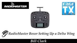 RadioMaster Boxer Setting up a Delta Wing - Model Wizard?