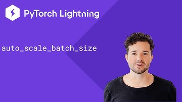 PyTorch Lightning - auto scale batch size