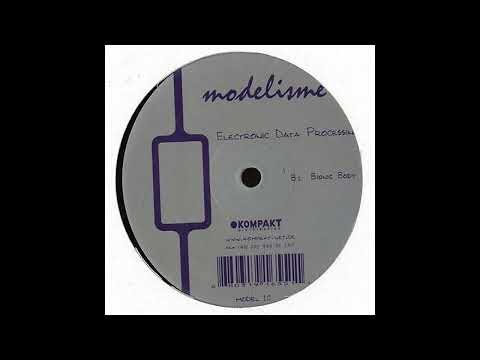 Electronic Data Processing - Bionic Body