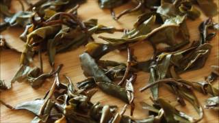 Is Sheng Raw Pu Erh Tea Bad For You?