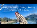 Hauling butchering cooking  shucking dungeness crab in alaska