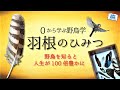 【0から学ぶ野鳥学③】羽根のひみつ  ～野鳥たちの驚愕の生き残り戦略～ @ZOOTIMEch ​