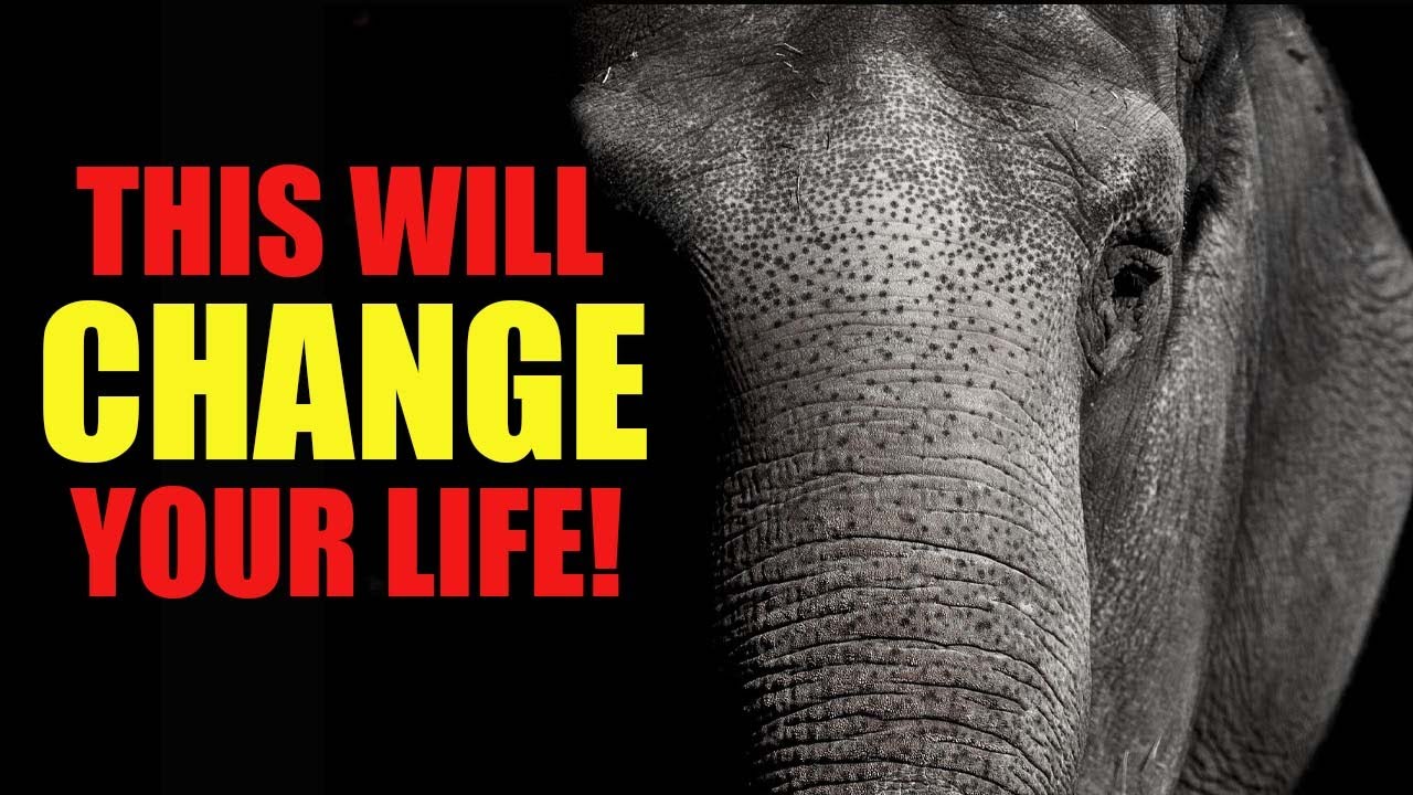 Elephant & The Rope - Motivational Short Story