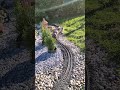Gartenbahn, die neue Strecke #gartenbahn #train #modeltrains