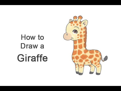 How To Draw A Giraffe Cartoon Youtube