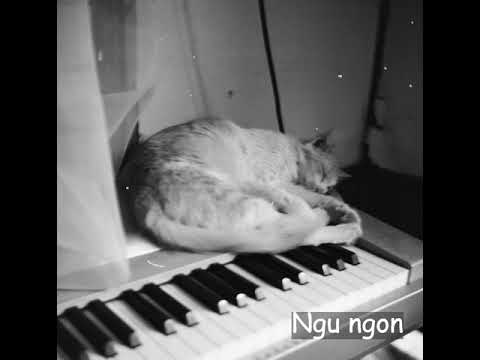 Cá Hồi Hoang