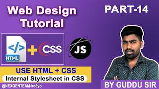 Ch - 14 Internal Stylesheet in CSS Tutorial | Learn CSS  – NexGen Education Team