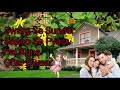 WhatsApp status Swarg Se Sunder Sapno Se Pyarahai Apna Ghar Dwaar navratan point Whatsapp Status Video Download Free