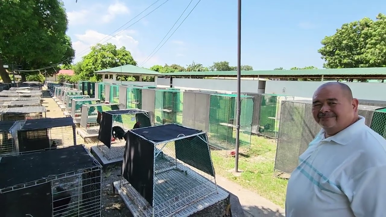 gengen arayata salamat po boss