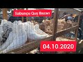 Sabuncu qus bazari 04.10.2020 #sabuncuqusbazari2020 #sabuncugoyercinbazari2020 #pigeonsbaku2020