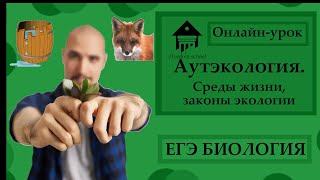 картинка: АУТЭКОЛОГИЯ. Среды жизни, Законы, Экологические факторы для ЕГЭ 2023 |ЕГЭ БИОЛОГИЯ|Freedom|