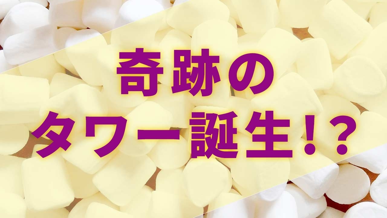マシュマロとパスタだけで“最高タワー”を作れ！九州動物学院2年生