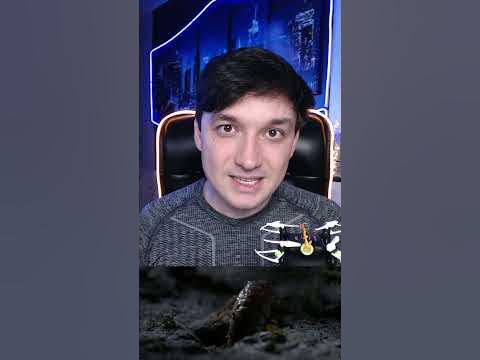 Цикады - YouTube
